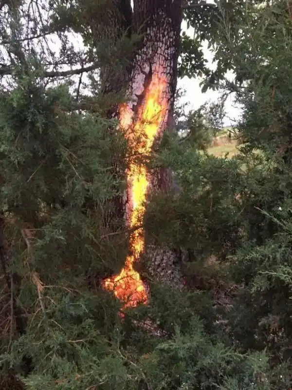 questo albero colpito da un fulmine bruciava ancora il giorno seguente