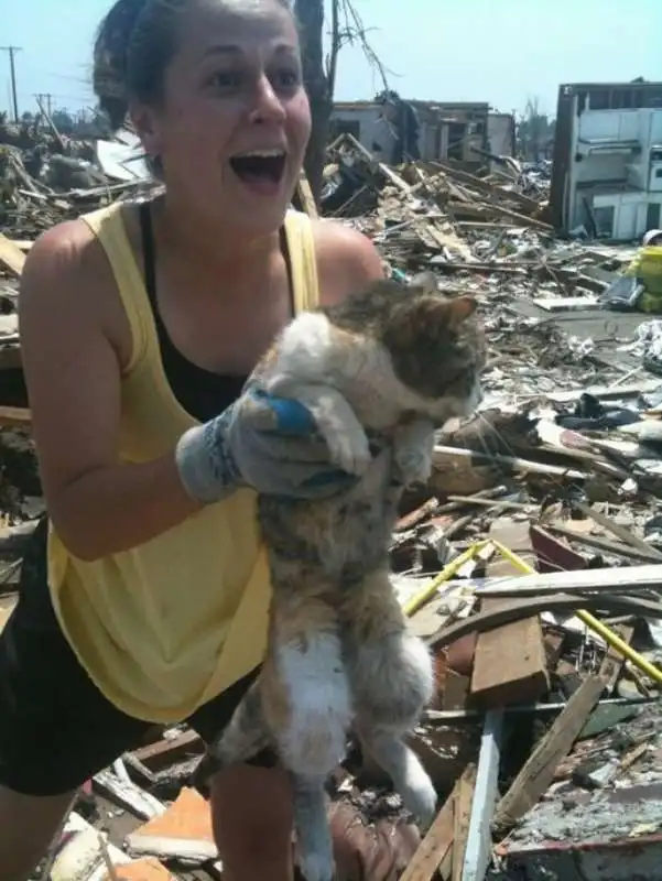 un gatto sopravvissuto dopo 16 giorni al tornado