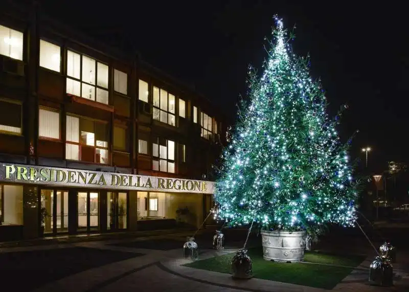 albero di natale di fondazione sorgente davanti alla regione lazio 1