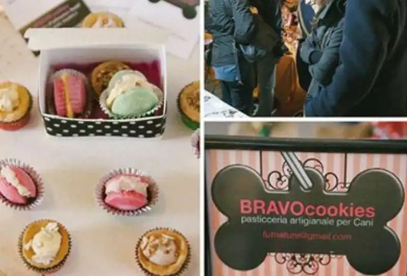 bravo cookies 14