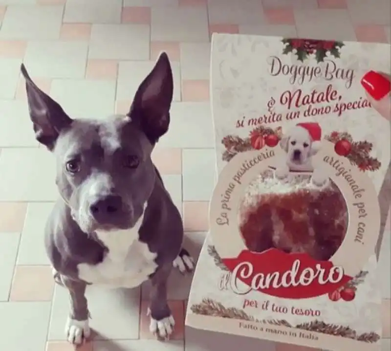 dolci per cani 4