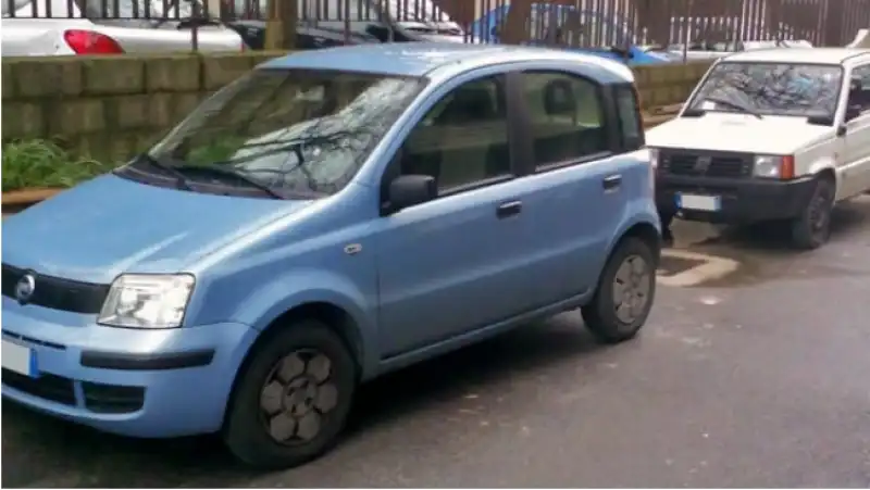 fiat panda