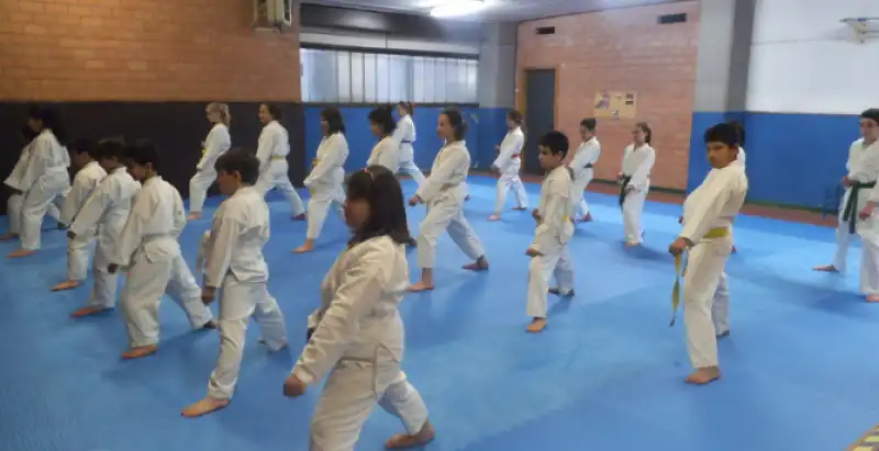 palestra karate