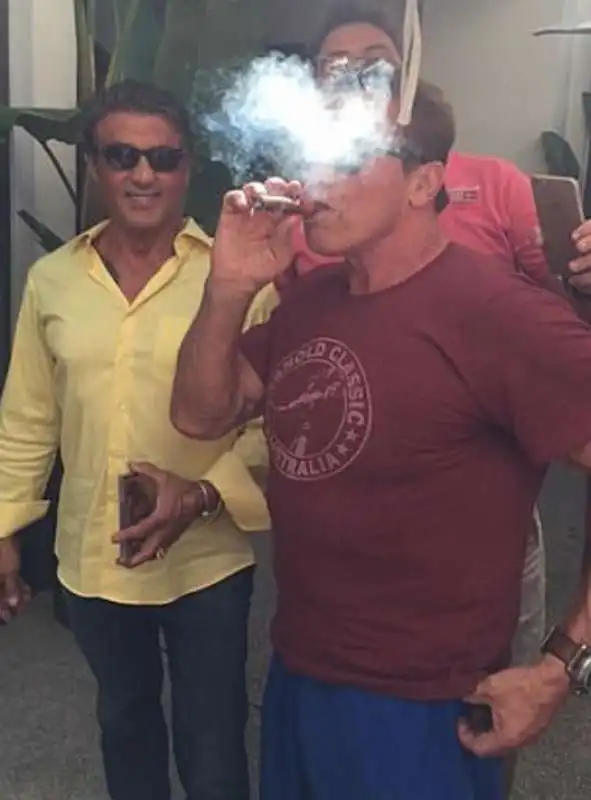 sylvester stallone e arnold schwarzenegger 2