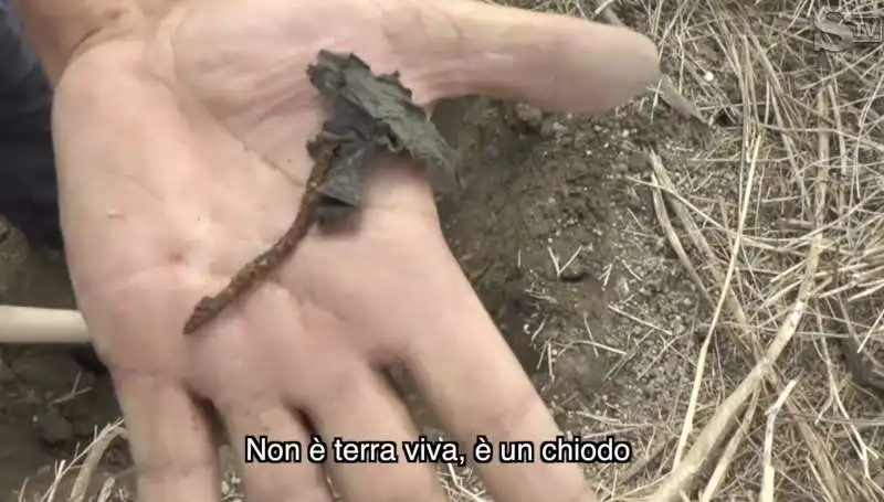 tombe e scheletri abbandonati al cimitero di napoli 10