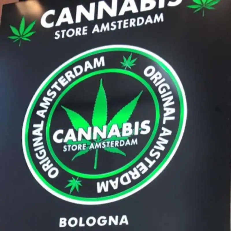 cannabis store amsterdam 5