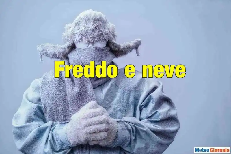 freddo 8