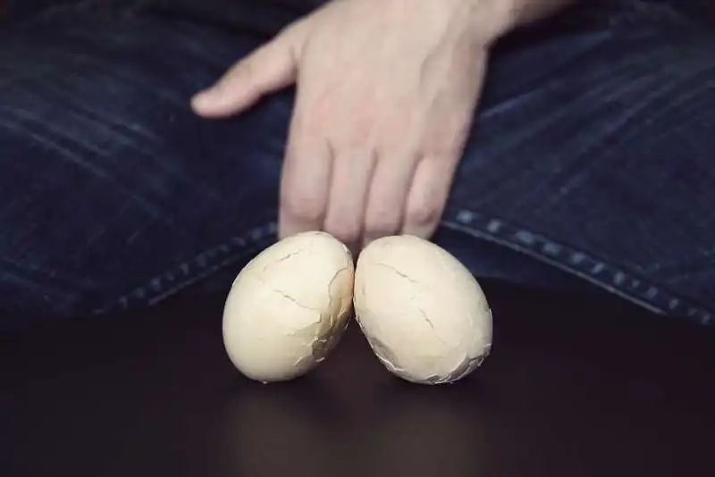 testicoli  4