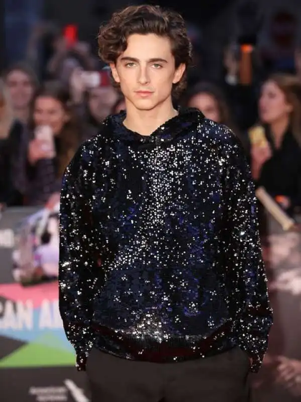 timothee chalamet 