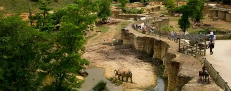 zoo de doue la fontaine 1