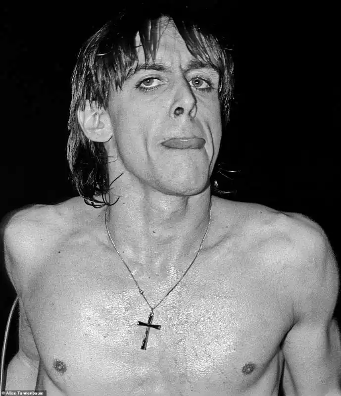 iggy pop