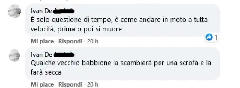 insulti sessisti sotto il post di sergio berlato 11