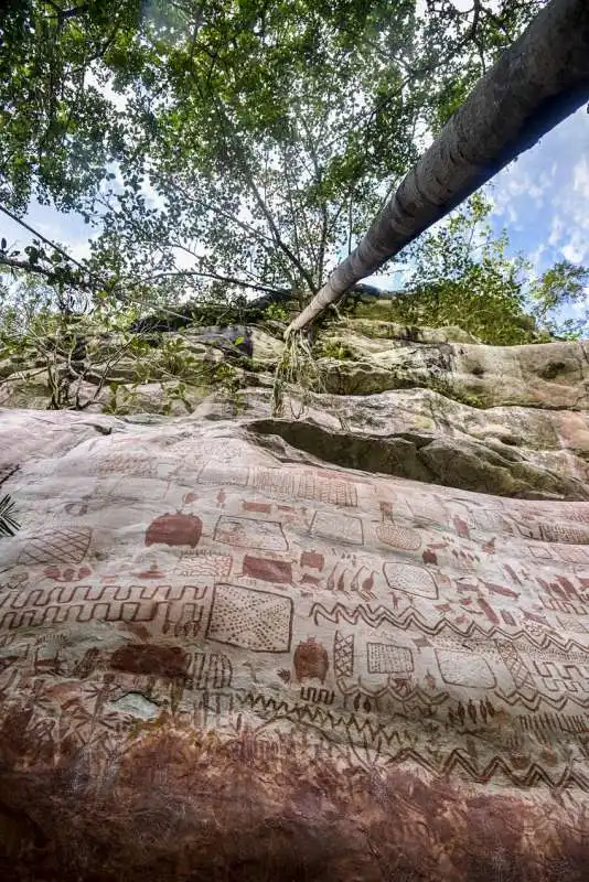 la cappella sistina rupestre in amazzonia 8