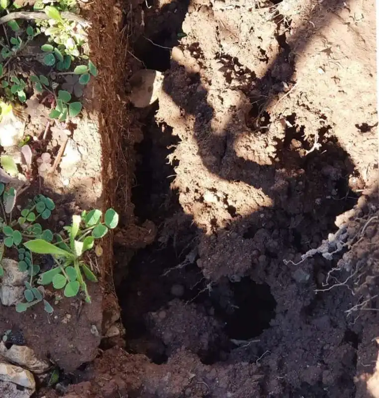 la tomba di riccardo schicchi al cimitero laurentino 7