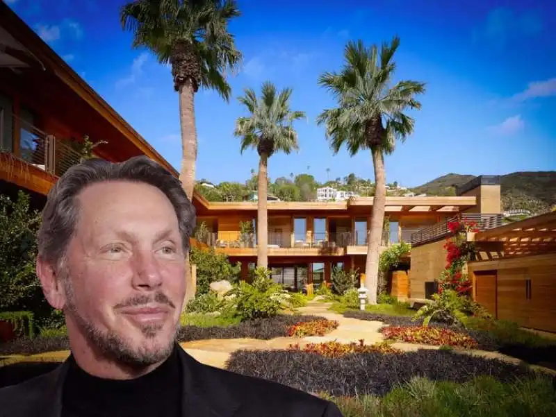 larry ellison 2