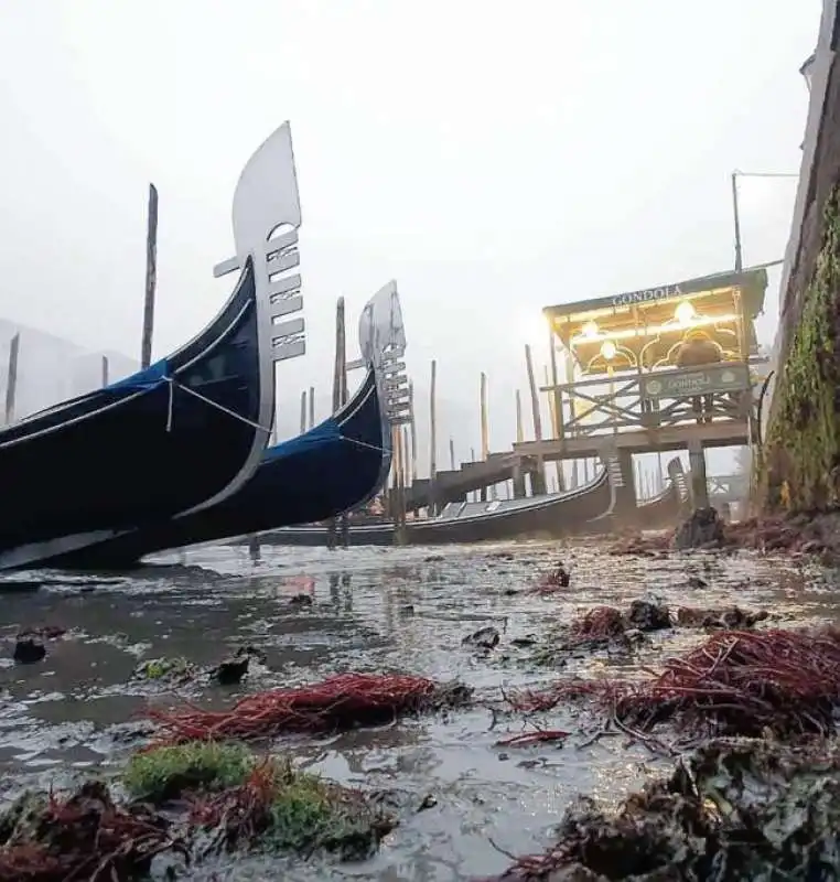 acqua bassissima a venezia 