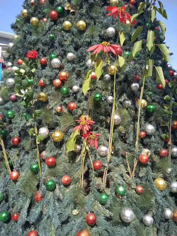 albero di natale in nepal