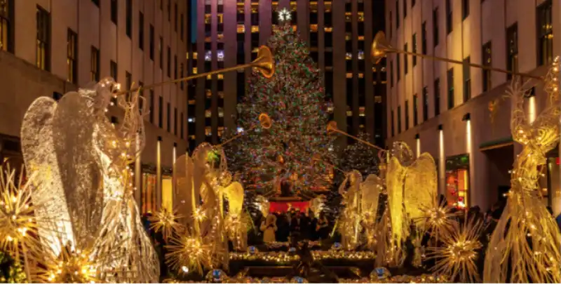 albero new york