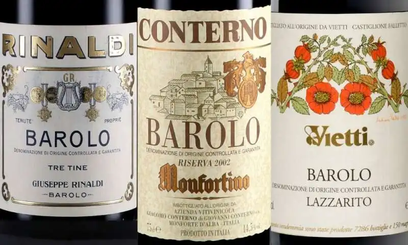 barolo 8