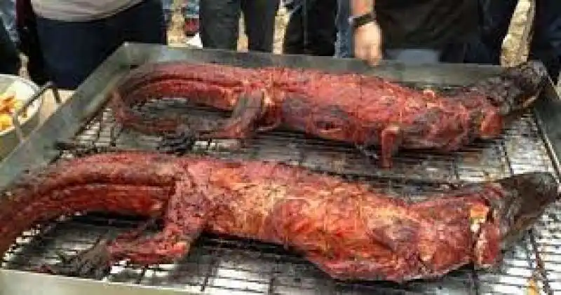 Carne di coccodrillo 2