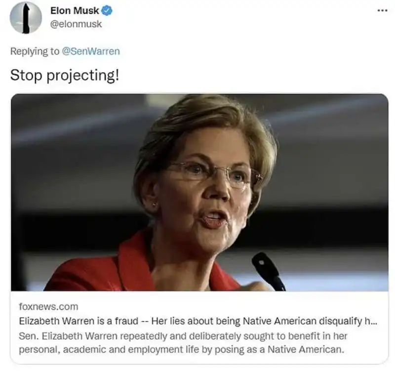 elon musk contro elizabeth warren 