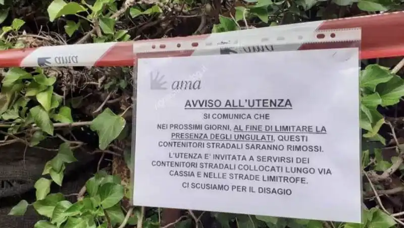 il messaggio dell ama per la rimozione dei cassonetti a causa dei cinghiali