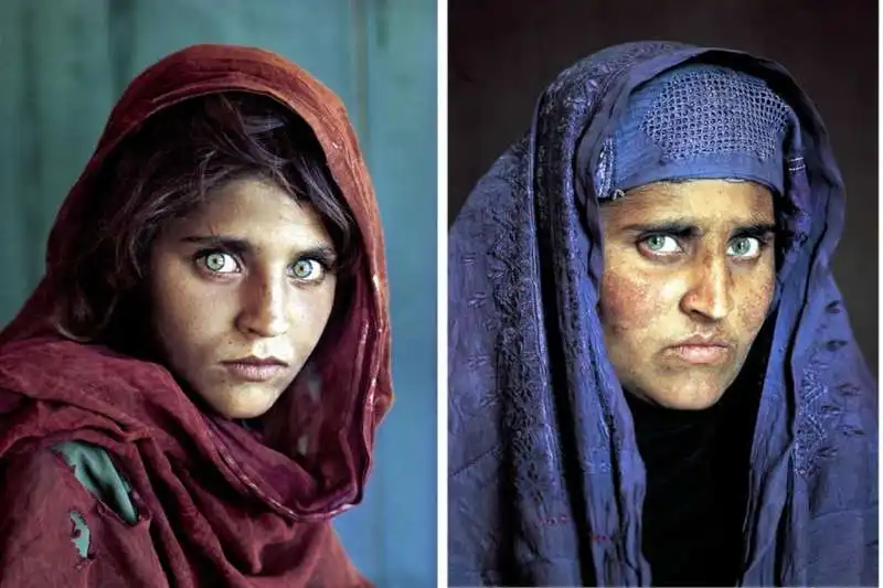 Sharbat Gula 