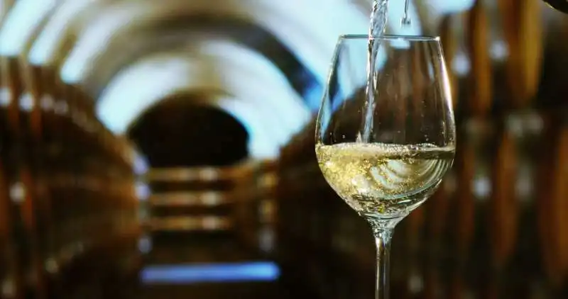 vino bianco 6