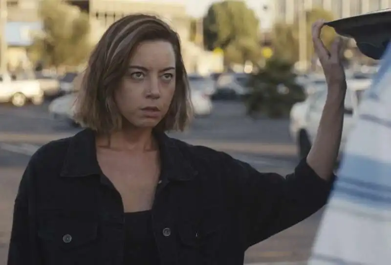 aubrey plaza   i crimini di emily 