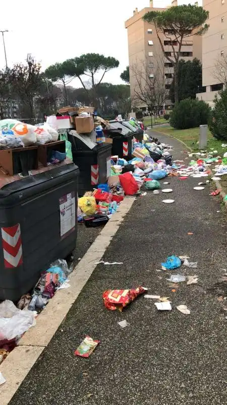 spazzatura roma viale lina cavalieri