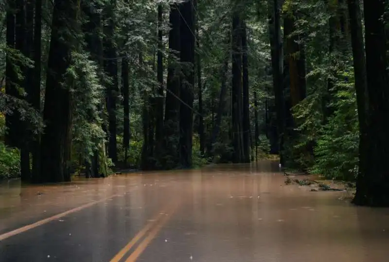 alluvione a redcrest, california