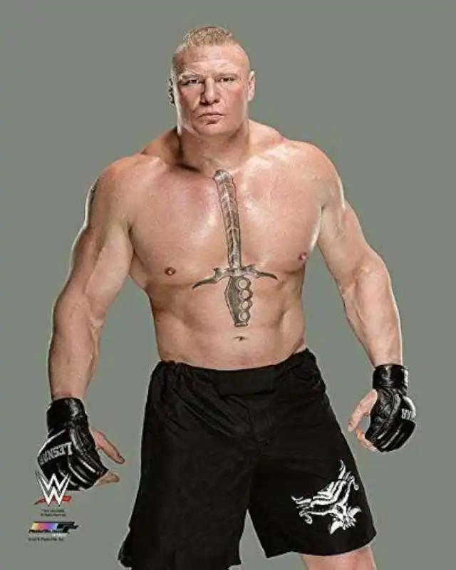 brock lesnar 3