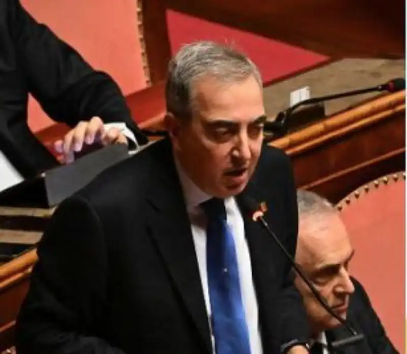 gasparri intervento in senato