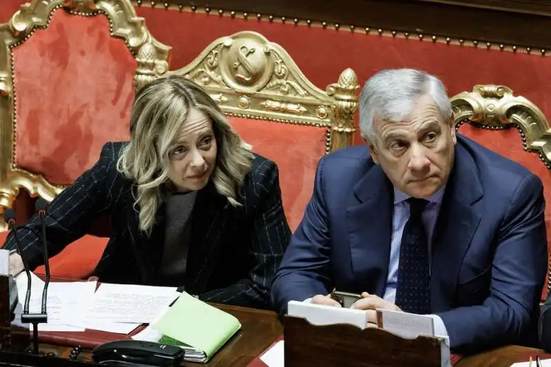 giorgia meloni   antonio tajani in senato