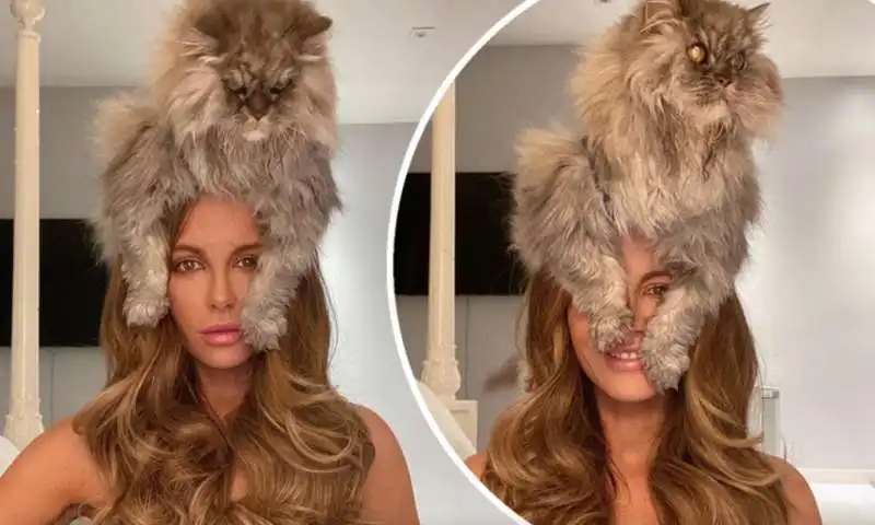 Kate Beckinsale e il suo gatto clive 