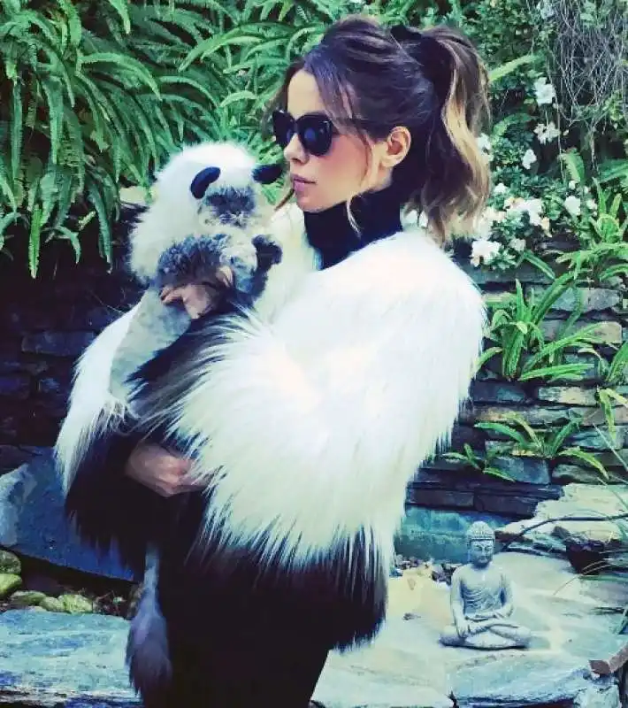 Kate Beckinsale e il suo gatto clive 