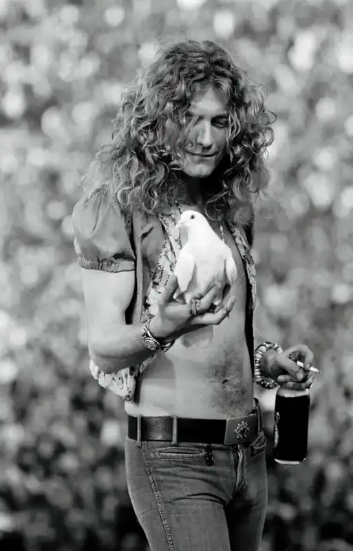 led zeppelin robert plant