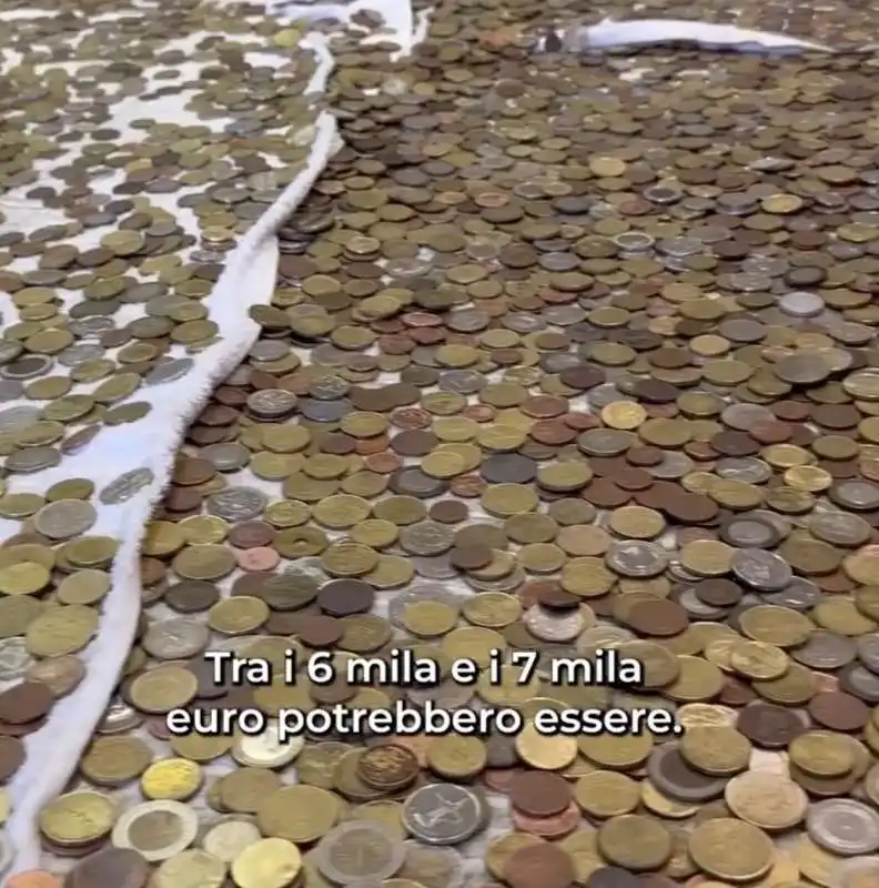 monete raccolte nella fontana di trevi 2