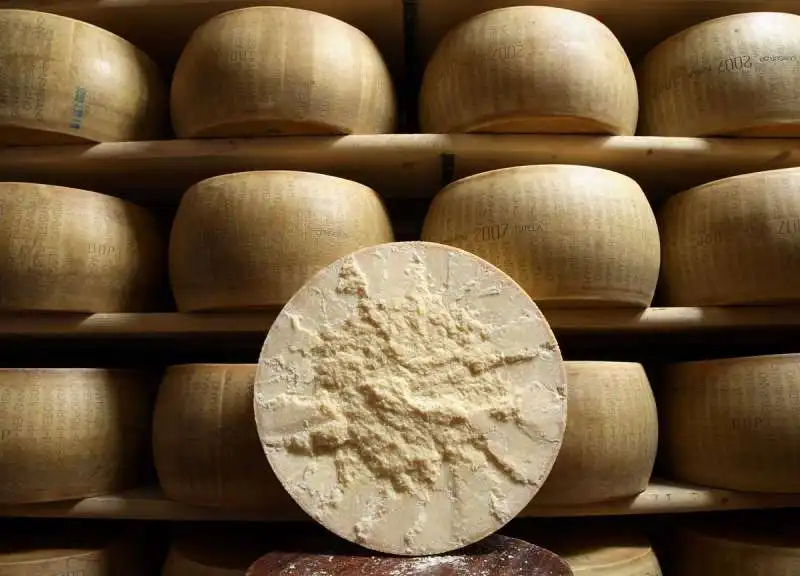 parmigiano reggiano