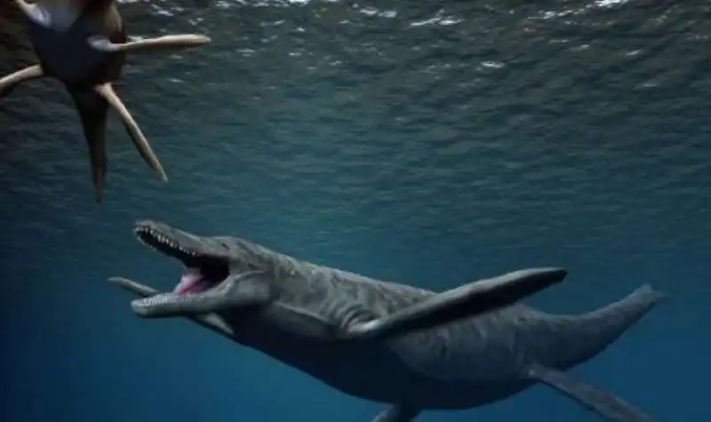 Pliosauro - il T-Rex dei mari 