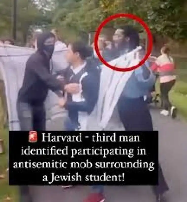 studente ebreo aggredito durante protesta pro palestina a harvard 3