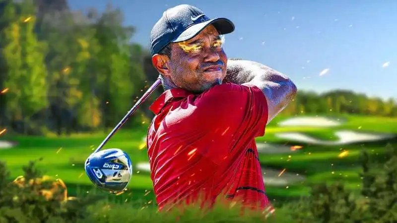 tiger woods 3