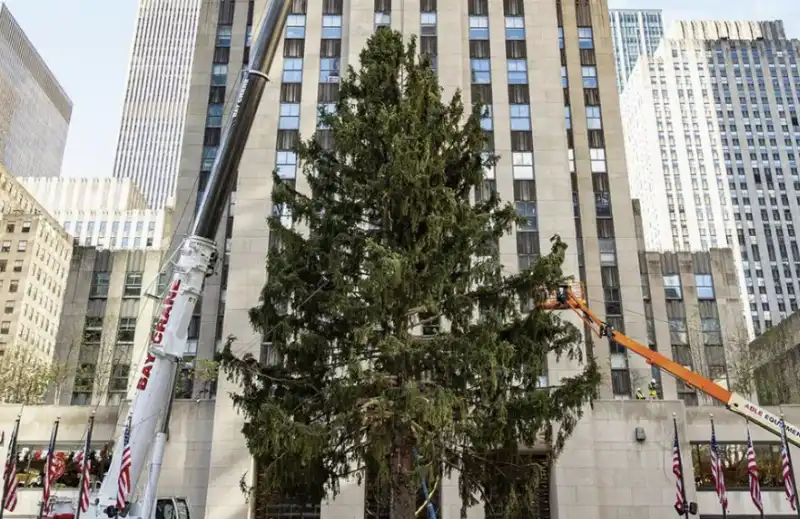 albero rockfeller center 5