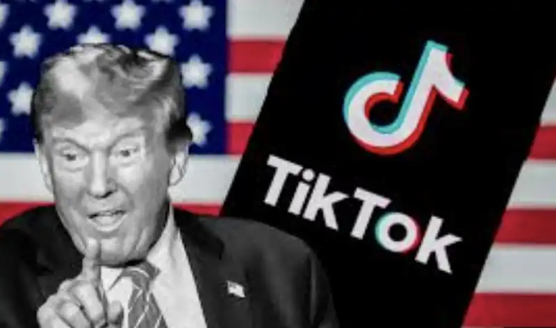 DONALD TRUMP TIKTOK