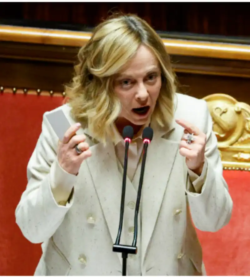 giorgia meloni al senato