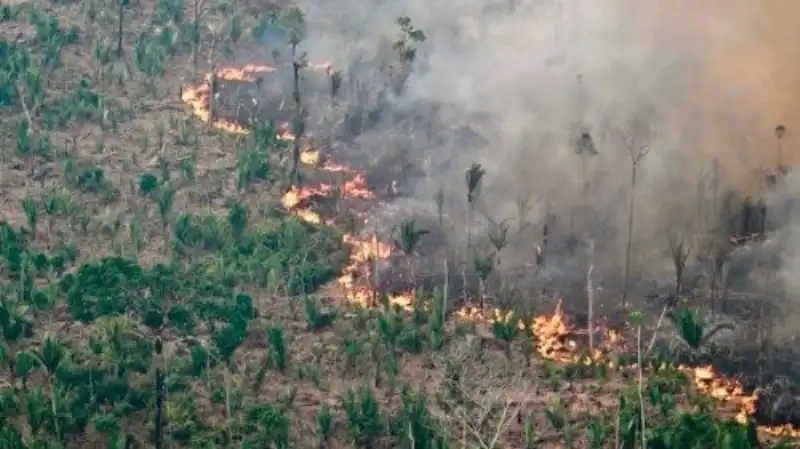 incendi boschivi in brasile  4