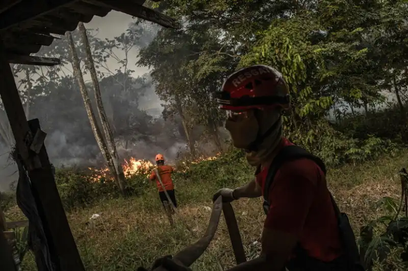 incendi boschivi in brasile  5