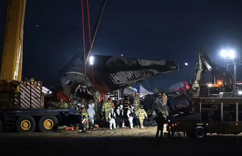 incidente aereo jeju air all aeroporto di muan   corea del sud   5