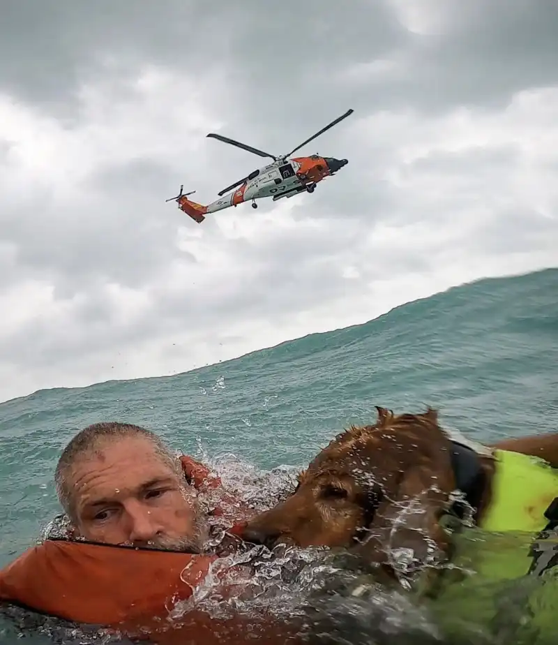 la guardia costiera usa salva un uomo e il suo cane durante l uragano helen 