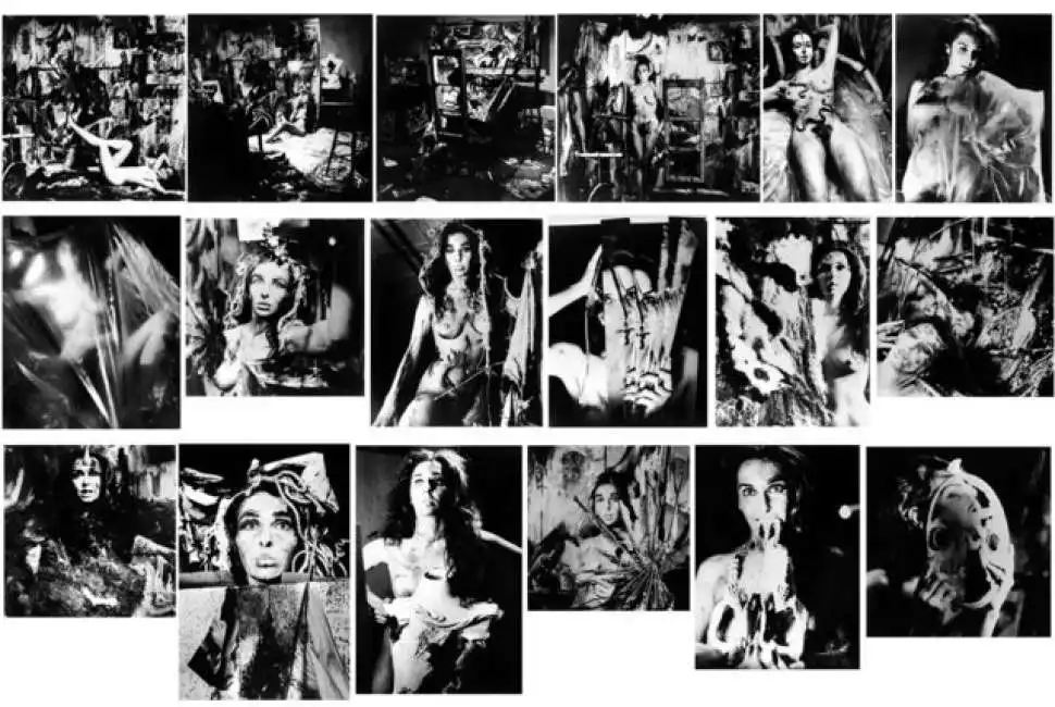 carolee schneemann